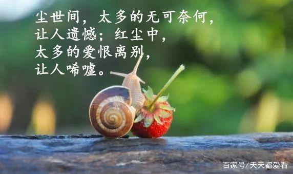生活分享感悟一句话