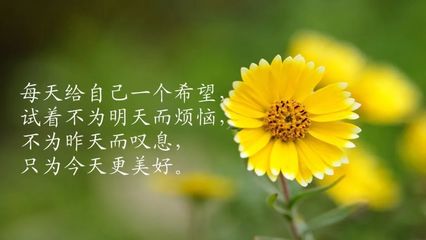 亲密关系感悟句子