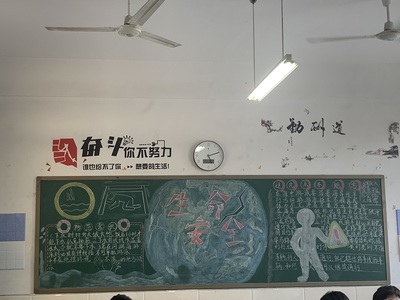 抗挫折能力培养的感悟怎么写