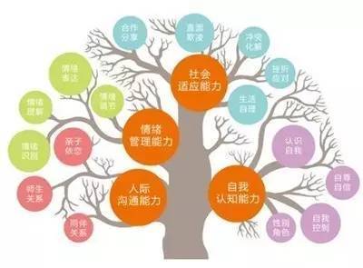 自我认知能力的提升