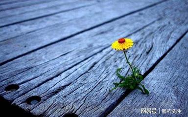 疗愈的句子