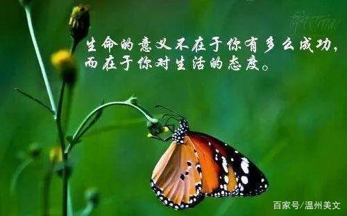 一些生活感悟