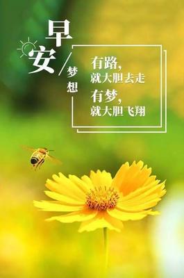 生活感悟分享怎么写