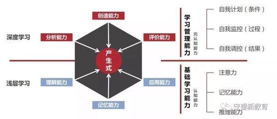自我认知和能力提升途径报告